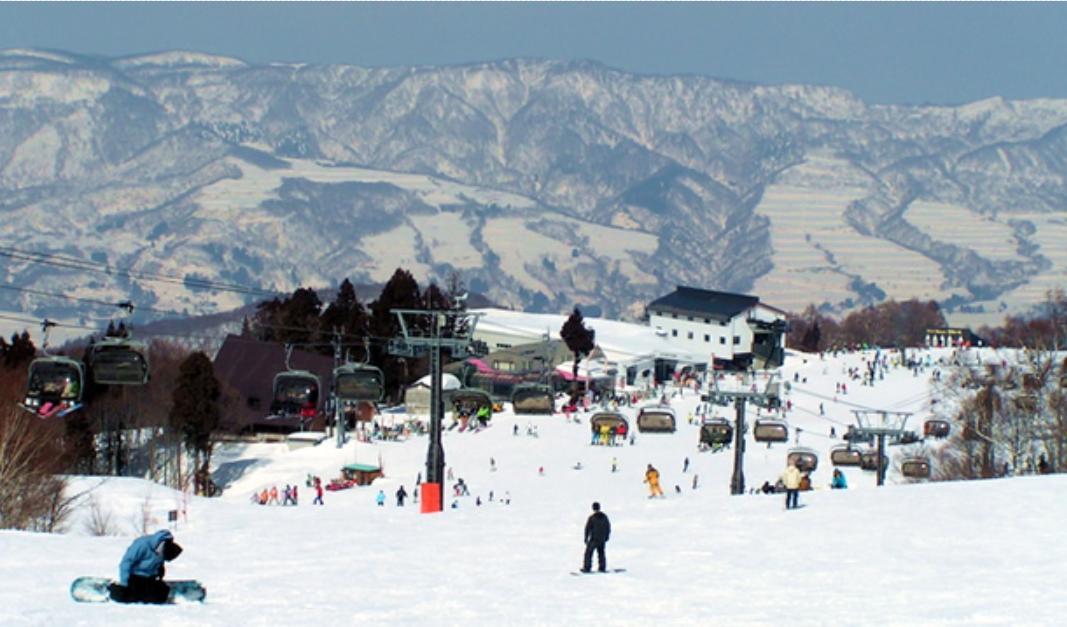 Inaka No Yado Sawa Hotel Нодзава Онсен Екстериор снимка